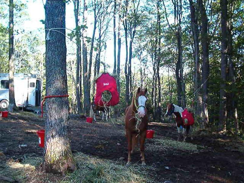 camping.com - Rocky Hollow Horse Camp photo gallery