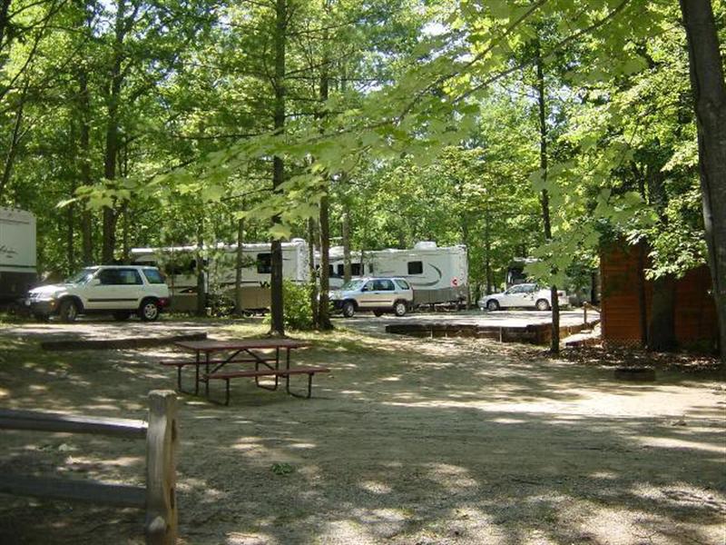 camping.com - Timber Ridge Resort photo gallery